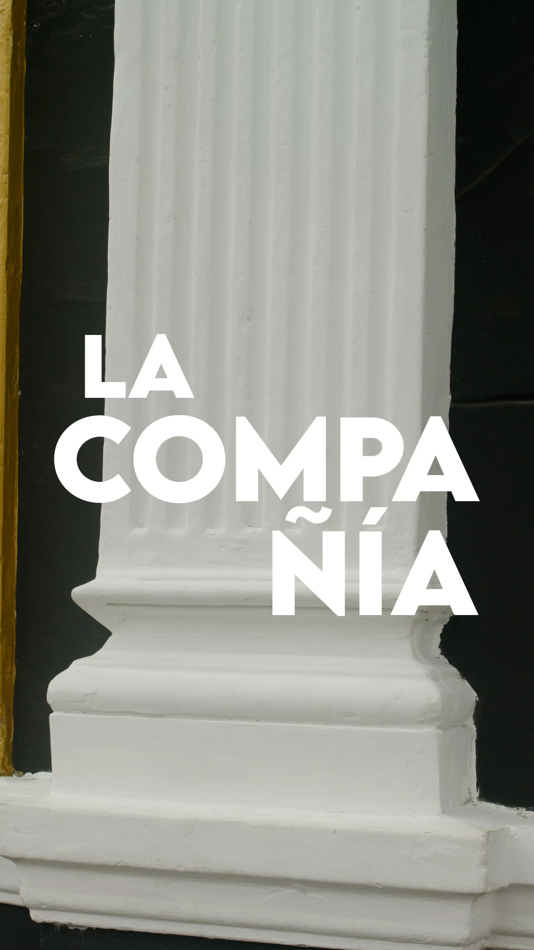 Póster de La compañía